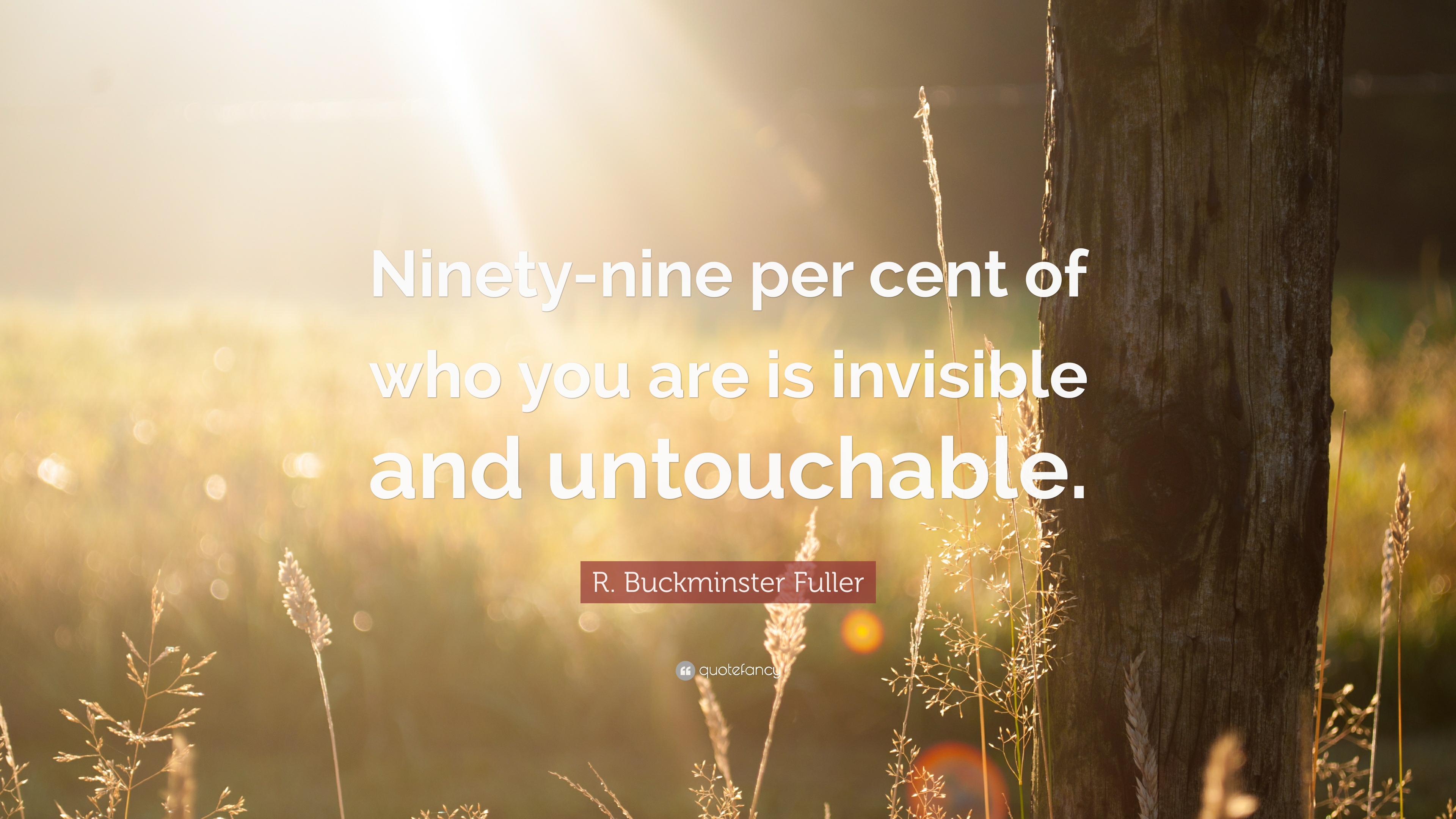 276316-r-buckminster-fuller-quote-ninety-nine-per-cent-of-who-you-are-is